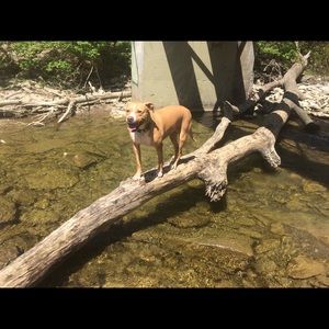 Meet your Posher, Jon